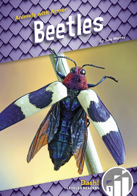 Animals with Armor: Beetles