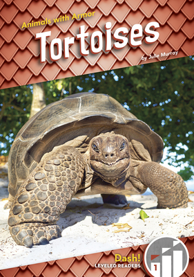 Animals with Armor: Tortoises