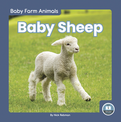 Baby Sheep