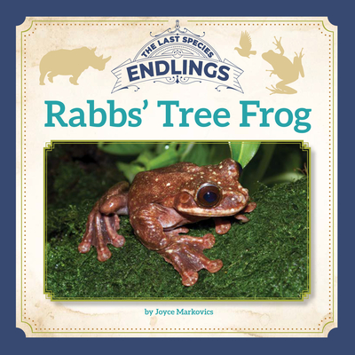 Rabbs'' Tree Frog
