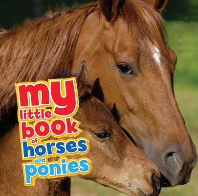 My Little Book of Horses and Ponies