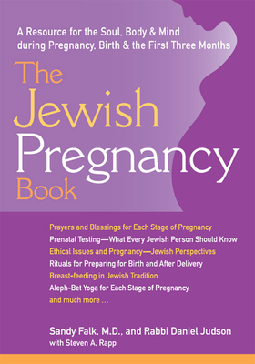 The Jewish Pregnancy Book