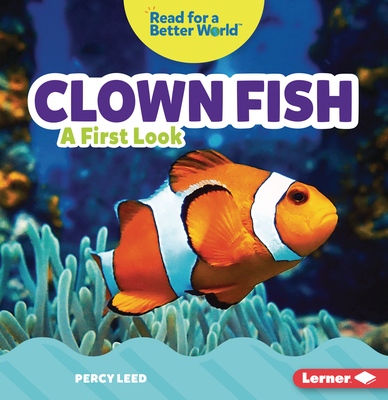 Clown Fish