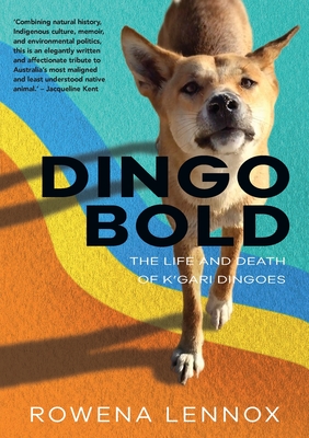 Dingo Bold