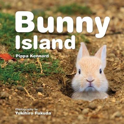 Bunny Island