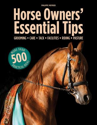 Horse Owners' Essential Tips