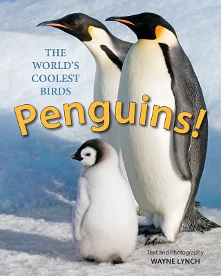 Penguins! The World's Coolest Birds