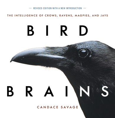 Bird Brains