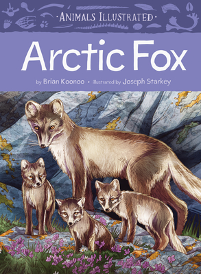 Animals Illustrated: Arctic Fox