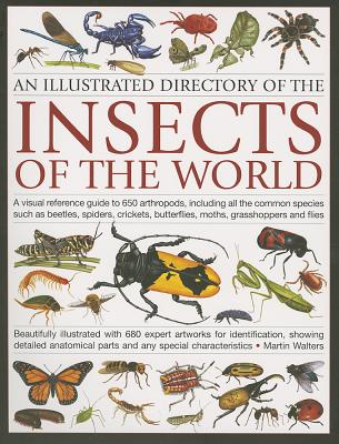 Illustrated Directory of Insects of the World