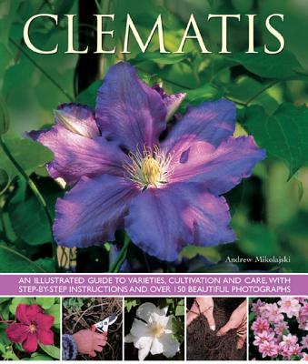 Clematis