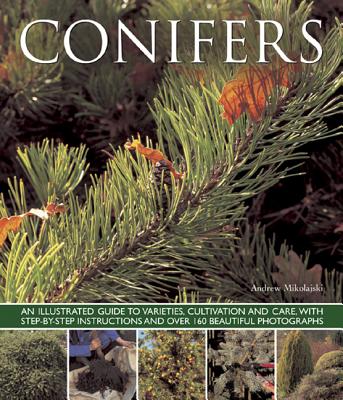 Conifers