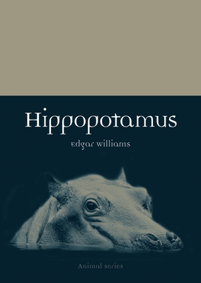 Hippopotamus