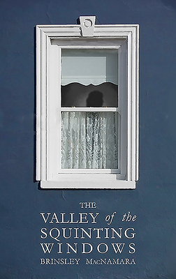 Valley of the Squinting Windows