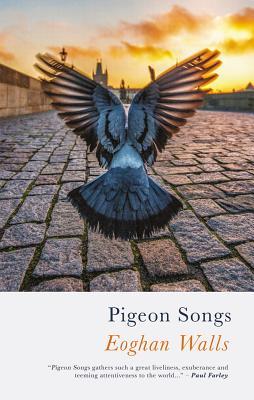 Pigeon Songs