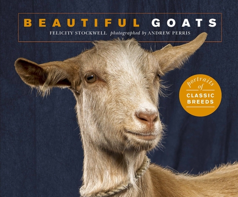 Beautiful Goats