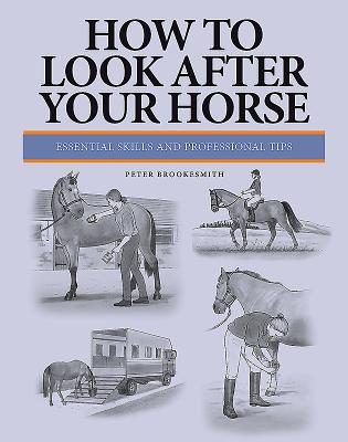 How To Look After Your Horse