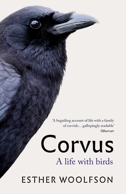 Corvus