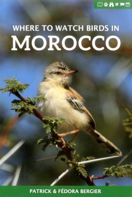 Where to Watch Birds in Morocco