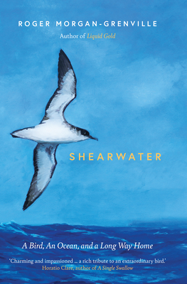 Shearwater