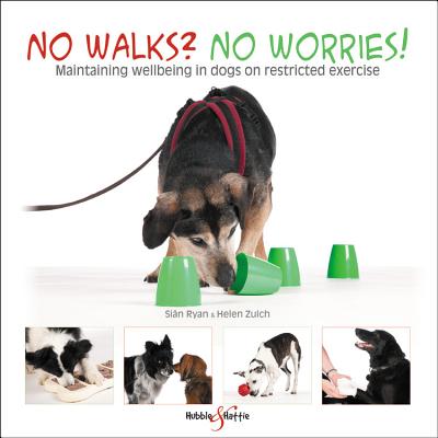 No walks? No worries!