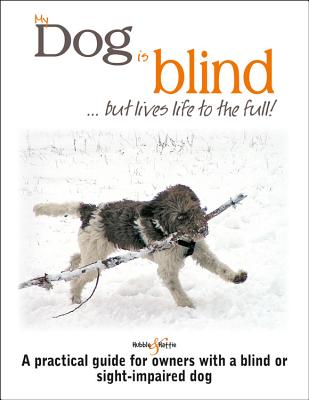 My dog is blind - but lives life to the full!