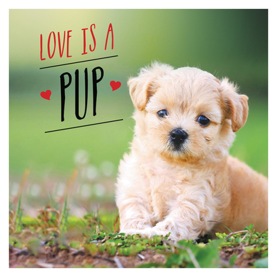 Love is a Pup