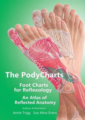 The PodyCharts foot charts for reflexology