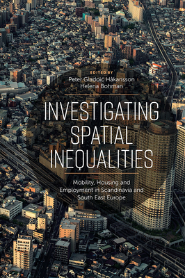 Investigating Spatial Inequalities