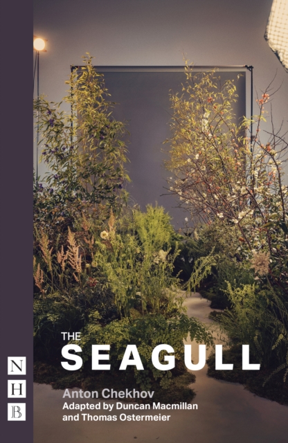 The Seagull