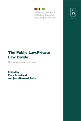 The Public Law/Private Law Divide