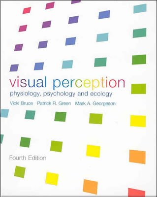 Visual Perception