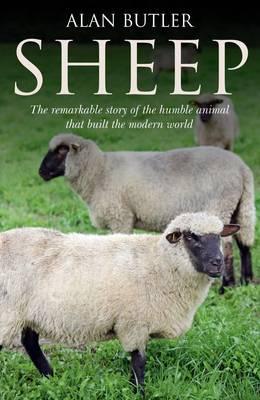 Sheep - The remarkable story of the humble animal that built the modern world.