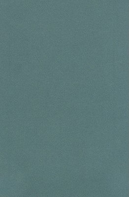 Pedagogy and Practice