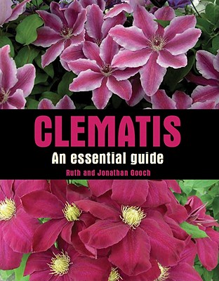 Clematis