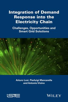 Integration of Demand Response into the Electricity Chain