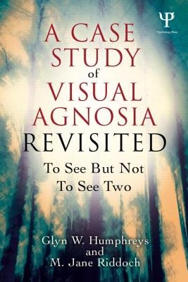 A Case Study in Visual Agnosia Revisited