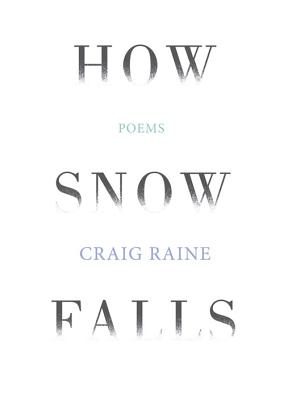 How Snow Falls