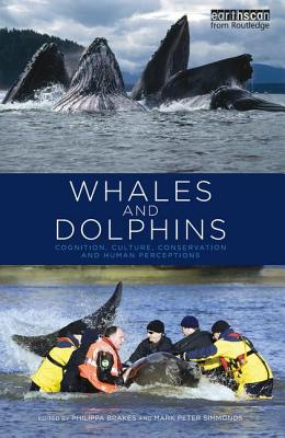 Whales and Dolphins