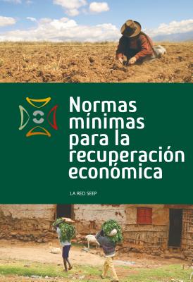 Normas minimas para la recuperacion economica