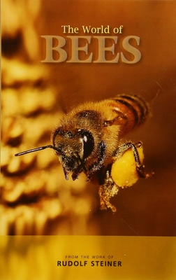 The World of Bees