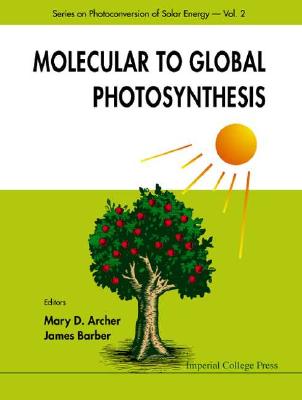 Molecular To Global Photosynthesis