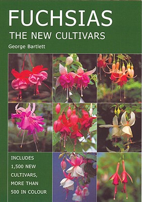 Fuchsias