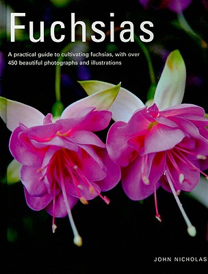 Fuchsias