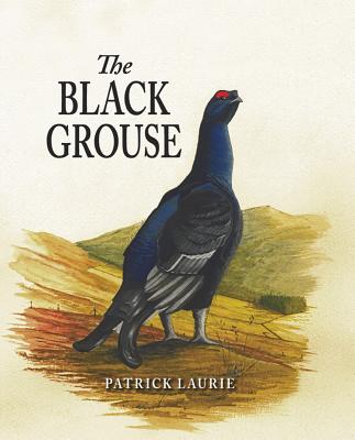 The Black Grouse