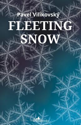 Fleeting Snow