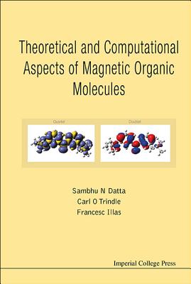 Theoretical And Computational Aspects Of Magnetic Organic Molecules