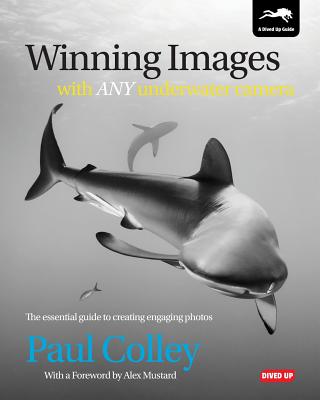 Winning Images with Any Underwater Camera