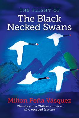 The flight of The Black Necked Swans