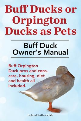 Buff Ducks or Buff Orpington Ducks as Pets. Buff Duck Owner's Manual. Buff Orpington Duck Pros and Cons, Care, Housing, Diet and Health All Included.